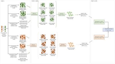 MSIF-LNP: microbial and human health association prediction based on matrix factorization noise reduction for similarity fusion and bidirectional linear neighborhood label propagation